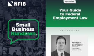 Split-screen podcast cover: left collage background with NFIB logo and 'Small Business Rundown' inside a green speech bubble; right gradient green panel shows 'Your Guide to Federal Employment Law' with guest photo and name Anthony Dalimonte.