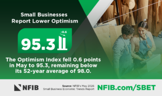 Infographic banner reporting that small businesses show lower optimism, 95.3 index with a -0.6 change, and explanatory text; NFIB branding at bottom.