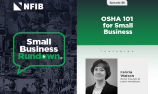 NFIB Small Business Rundown podcast cover: left collage with a speech-bubble logo, right side green gradient featuring Episode 88 title 'OSHA 101 for Small Business' and a photo of Felicia Watson, Senior Counsel at Littler Mendelson.