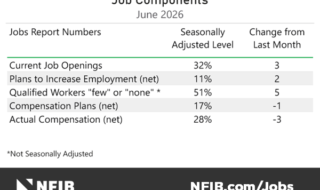 Table titled 'Job Components June 2026' with three columns: Jobs Report Numbers, Seasonally Adjusted Level, Change from Last Month. Rows show Current Job Openings 32% (+3), Plans to Increase Employment (net) 11% (+2), Qualified Workers 'few' or 'none' 51% (+5), Compensation Plans (net) 17% (-1), Actual Compensation (net) 28% (-3). Note: *Not Seasonally Adjusted. NFIB logo/footer with NFIB.com/Jobs.